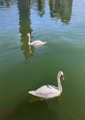 Two swans and towers mirrored in summer Donau